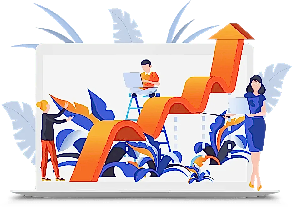 web yazılım tasarım Bakı